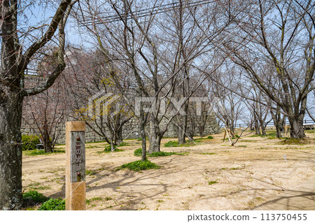 Marugame Castle (Kagawa Prefecture) Ninomaru ruins Marugame Castle (Kagawa Prefecture) Ninomaru ruins 113750455
