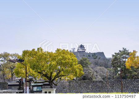 Marugame Castle (Kagawa Prefecture) Marugame Castle (Kagawa Prefecture) 113750497