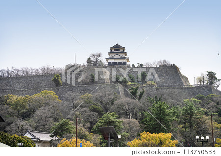 Marugame Castle (Kagawa Prefecture) Marugame Castle (Kagawa Prefecture) 113750533
