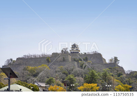 Marugame Castle (Kagawa Prefecture) Marugame Castle (Kagawa Prefecture) 113750535