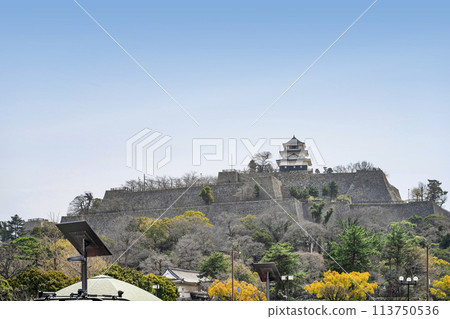 Marugame Castle (Kagawa Prefecture) Marugame Castle (Kagawa Prefecture) 113750536