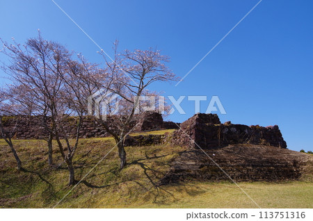 Spring scenery at the ruins of Akagi Castle, one of the 100 most famous castles in Japan, located in Kiwa-cho, Kumano City, Mie Prefecture Spring scenery at the ruins of Akagi Castle, one of the 100 most famous castles in Japan, located in Kiwa-cho, Kumano City, Mie Prefecture 113751316
