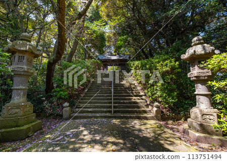 鳥取縣米子市彥名町淡島神社參道 鳥取縣米子市彥名町淡島神社參道 113751494