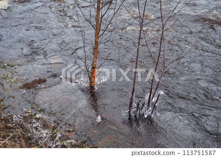 Spring flood. Rushing water in the river, top view. Dark ferrous water rushes in the stream. A yellow-white foam. Karelia, Lososinka River in spring. Flood, tsunami and climate change. Water movement Spring flood. Rushing water in the river, top view. Dark ferrous water rushes in the stream. A yellow-white foam. Karelia, Lososinka River in spring. Flood, tsunami and climate change. Water movement 113751587
