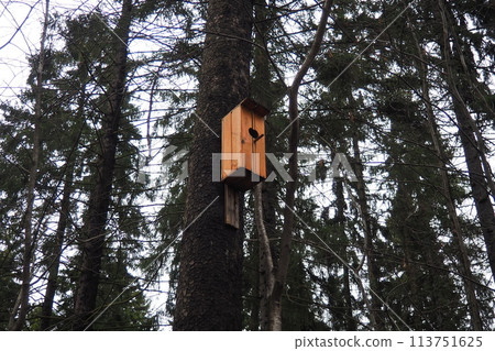 A birdhouse is a closed artificial nesting site for small birds, mainly nesting in hollows. Such nesting sites for small passerine birds are often made by amateurs and are located in urban areas A birdhouse is a closed artificial nesting site for small birds, mainly nesting in hollows. Such nesting sites for small passerine birds are often made by amateurs and are located in urban areas 113751625