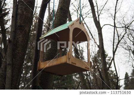 Hanging homemade feeder or platform for feeding birds and squirrels in winter and spring during hungry times. Feeders for birds and squirrels in a forest or city park. Hanging homemade feeder or platform for feeding birds and squirrels in winter and spring during hungry times. Feeders for birds and squirrels in a forest or city park. 113751630