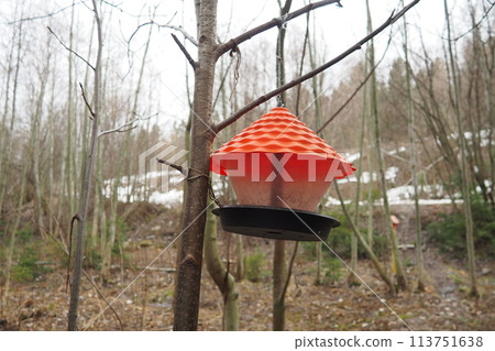 Hanging homemade feeder or platform for feeding birds and squirrels in winter and spring during hungry times. Feeders for birds and squirrels in a forest or city park. 113751638