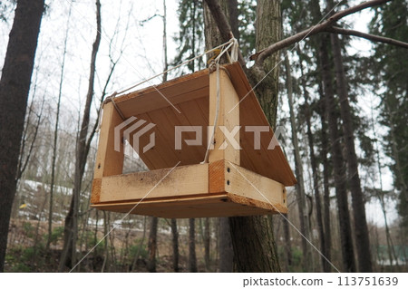 Hanging homemade feeder or platform for feeding birds and squirrels in winter and spring during hungry times. Feeders for birds and squirrels in a forest or city park. 113751639
