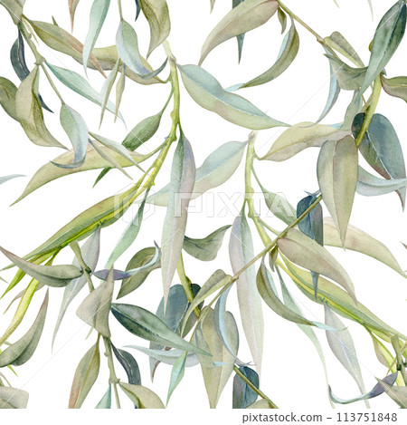 Hand drawn watercolor illustration botanical leaves. Osier ash oak acacia blackwood willow lancet eucalyptus laurel branch. Seamless pattern isolated white background. Design wedding, love cards, shop 113751848