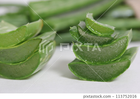 Fresh Raw Aloe Vera Leaves on Table After Harvest Fresh Raw Aloe Vera Leaves on Table After Harvest 113752016