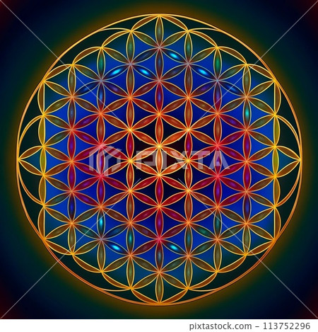 Flower of life 113752296