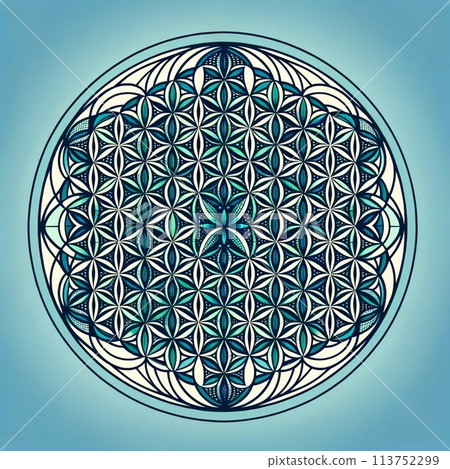 Flower of life Flower of life 113752299