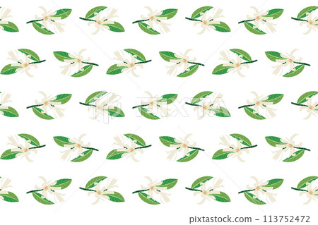 Abstract of chempaka flower with leaf on white background. 113752472