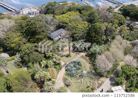 View from the observation deck 113752586
