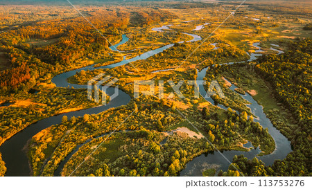 Aerial View Green Forest Woods And River Landscape In Sunny Spring Evening. Top View Of Beautiful European Nature From High Attitude In Summer Season. Drone View. Bird's Eye View 113753276