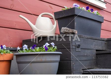 A watering can rests on potted plants, adding charm to the garden landscape 113753382