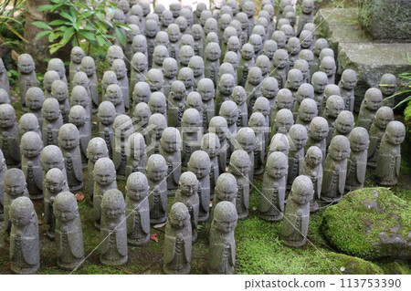 親愛的大分先生 親愛的大分先生 113753390