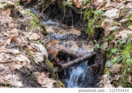 Waterfall surrounded by mosscovered rocks and lush greenery in a forest 113753414