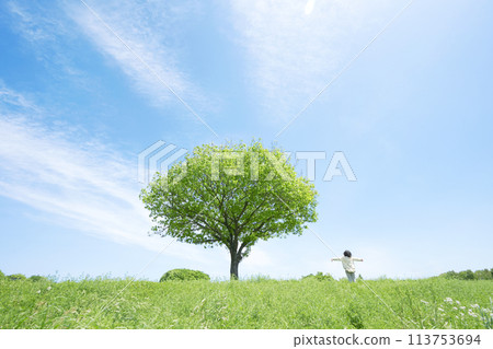 Clean energy image Clean energy image 113753694