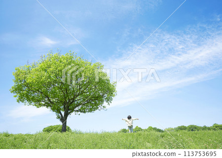 Clean energy image Clean energy image 113753695