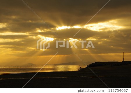 Angel's Ladder Falling on the Ariake Sea 113754067
