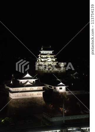 Fukuyama Castle shines brightly at night 113754139