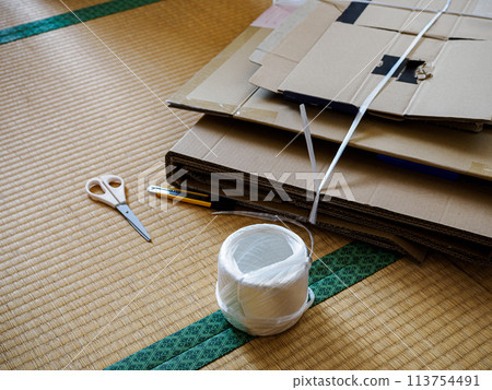 Cardboard box  113754491