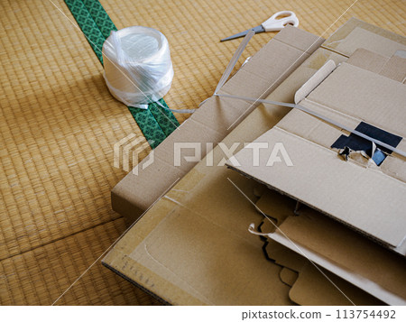 Cardboard box Cardboard box 113754492
