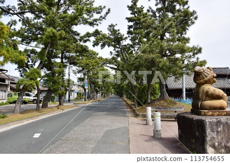 濱松市:舊東海道舞坂宿松樹和松樹公園 濱松市:舊東海道舞坂宿松樹和松樹公園 113754655