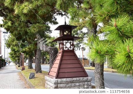 濱松市、舊東海道舞坂宿松樹線 濱松市、舊東海道舞坂宿松樹線 113754656