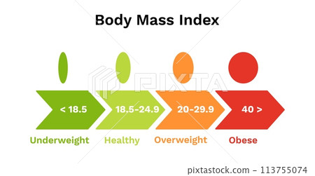 Body mass index scale. Infographics of underweight and normal weight Body mass index scale. Infographics of underweight and normal weight 113755074