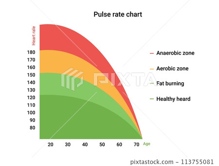 Heart rate chart. Heartbeat risk diagram with infographics rating Heart rate chart. Heartbeat risk diagram with infographics rating 113755081
