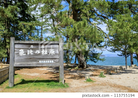 晴天的敦賀市氣比松原 113755194