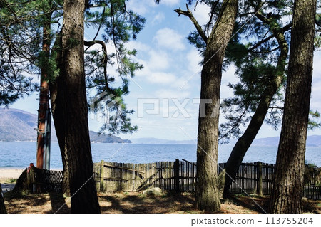 Kehi Pine Grove on a clear day in Tsuruga City Kehi Pine Grove on a clear day in Tsuruga City 113755204
