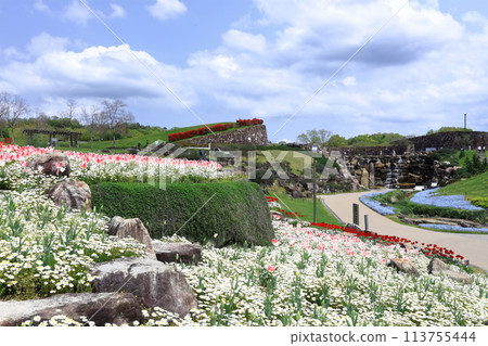 [Kagawa Prefecture] Autumn at Sanuki Manno National Park (Shoryu Falls and tulip fields) 113755444