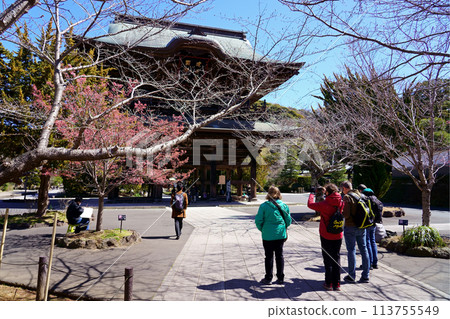 外國遊客在建長寺三門拍照 113755549