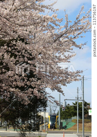 宇都宮輕軌 宇都宮輕軌 113756197