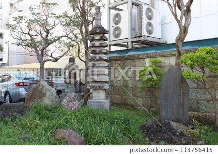 Mandarin duck mound 113756415