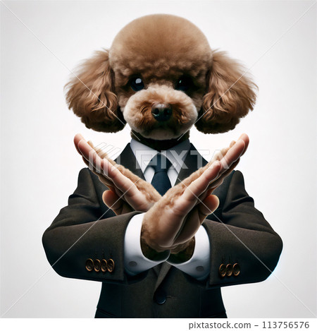Toy poodle in a suit giving a NO sign Toy poodle in a suit giving a NO sign 113756576