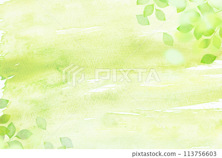 清爽透明的清新綠框 113756603