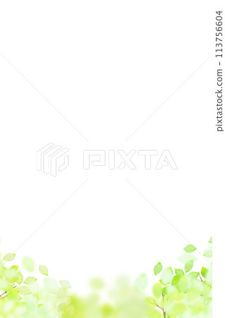 A refreshing and transparent frame of fresh greenery 113756604