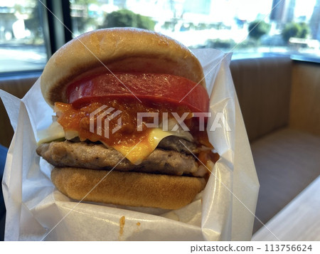 Meat sauce tomato cheeseburger 113756624