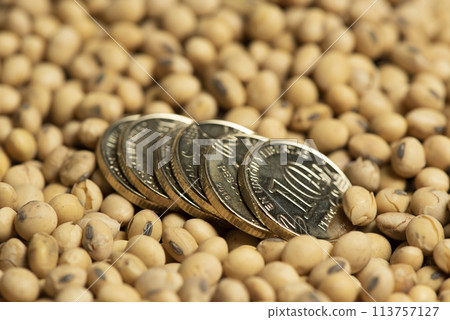 Dollars banknotes and coins and soy beans,oleaginous commoditi value concept. 113757127