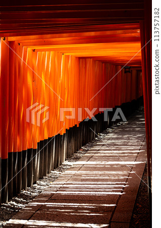 Senbon Torii Fushimi Inari Shrine 113757182
