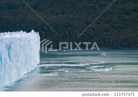 Perito Moreno Glacier, Los Glaciares National Park, Santa Cruz Province, Patagonia Argentina. 113757375