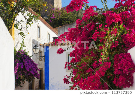 Medieval Buildings and Bougainvillea Flowers in Obidos, Portugal. 113757390