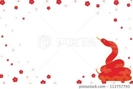 Japanese style background of red snake and red and white plum blossoms 113757793