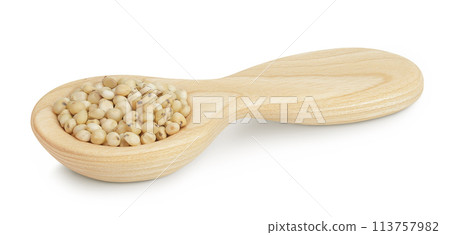 Sorghum seeds in wooden spoon isolated on white background with full depth of field. Sorghum seeds in wooden spoon isolated on white background with full depth of field. 113757982