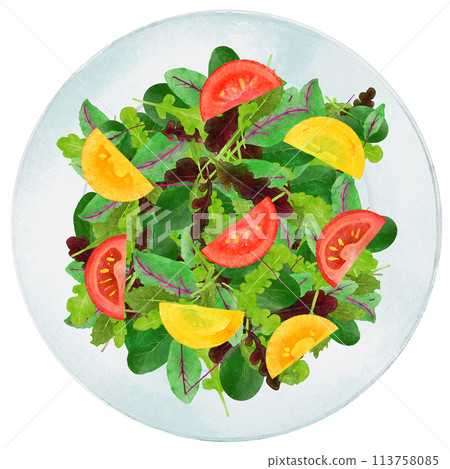 水彩畫的新鮮嬰兒葉和櫻桃番茄沙拉 113758085