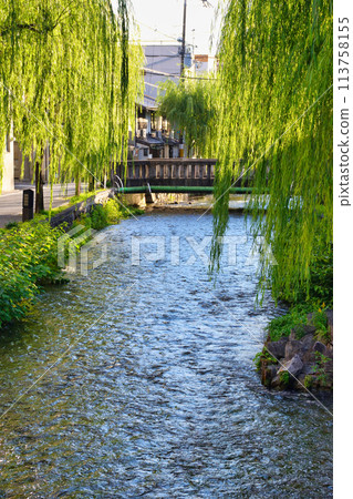 京都白河和柳樹(京都市東山區) 京都白河和柳樹(京都市東山區) 113758155
